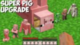 Why did I TRANSFORM ALL MOBS INTO PIG MOBS in Minecraft ? INCREDIBLE PIG UPGRADE !