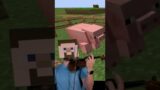 Here's the BEST Minecraft Music #shorts