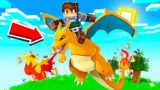 How to TAME a POKEMON in MINECRAFT!