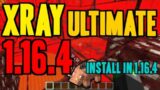 How to get X ray in Minecraft 1.16.4 – download & install Xray Ultimate 1.16.4 compatible on Windows