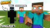 I met NULL and HEROBRINE in Minecraft and this happened…