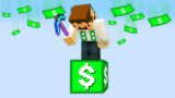 Minecraft, But There's One Millionaire Block…