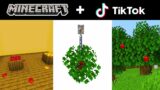 Minecraft Tik Tok Compilation 26
