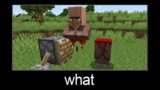 Minecraft wait what meme part 196 (scary villager)