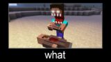 Minecraft wait what meme part 209 (scary herobrine and villager)