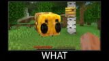 Minecraft wait what meme part 74 realistic minecraft Bee Honey