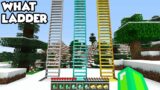 RAREST LADDERS of ALL in Minecraft ? SILVER, GOLD, DIAMOND LADDER !