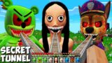 This is MOMO and GUMMY BEAR tunnel PAW PATRUL in minecraft – Gameplay animations