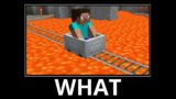 WAIT WHAT (Minecraft) #38