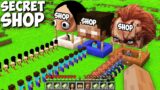 What SHOP I Chose MOMO or HEROBRINE or CHACKI MARKET in MINECRAFT ? GAMEPLAY MINECRAFT ANIMATIONS