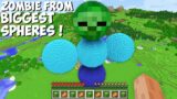 What if YOU SPAWN A ZOMBIE FROM THE BIGGEST SPHERES in Minecraft ? LARGEST ROUND ZOMBIE !