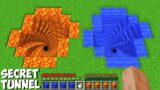 Which SUPER WEIRD TUNNEL TO CHOOSE LAVA VS WATER in Minecraft ? NEW CURSED PASSAGE !