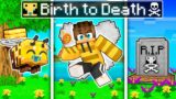 BIRTH TO DEATH Of a Bee In Minecraft!