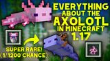 COMPLETE GUIDE to AXOLOTLS In Minecraft 1.17 the Caves and Cliffs Update (Snapshot 20w51a)