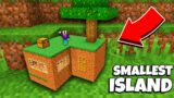 How to BUILD THE SMALLEST ISLAND in Minecraft? INCREDIBLE HOUSE!