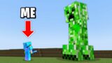 Minecraft, But Mobs Are Giant…