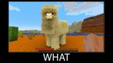 Minecraft wait what meme part 102 realistic minecraft Llama wool