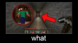Minecraft wait what meme part 210 (Scary two-headed Herobrine)
