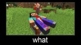 Minecraft wait what meme part 220 (Scary Steve and Villager)