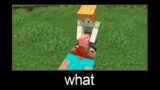 Minecraft wait what meme part 225 (Mad Alex and Scary Steve)