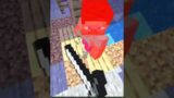 Never play with Begginers in Minecraft | #shorts