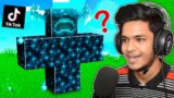 Testing Minecraft Viral TikTok Hacks | In Hindi