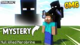 The Secret Mystery of NULL in Minecraft