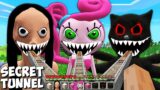 This is Secret tunnel in Cartoon Cat and MOMY LONG LEGS and WITCH in minecraft – Gameplay
