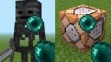 what's inside minecraft blocks and mobs ? part 8