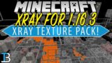 How To Get XRay in Minecraft 1.16.3 (1.16.3 XRay Texture Pack!)