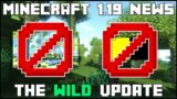 Minecraft 1.19 News – Snapshot 22w19a Tomorrow, No Birch Forest & Fireflies!