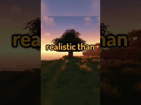 Minecraft, But It's 100% Realistic - Minecraft videos