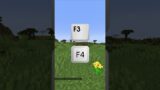 Minecraft Life Hacks you Should Try