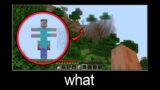 Minecraft wait what meme part 234 (That Creeping Thing)