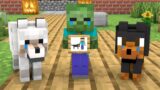 Monster School : Baby Zombie So Kind – Minecraft Animation