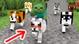 Monster School : Baby Zombie and Dog Rescues Friends – Minecraft Animation