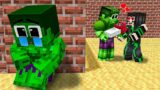 Monster School : Hulk Have A Bad Stepmother – Sad Story – Minecraft Animation