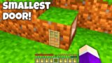 You WILL BE SHOCKED where DOES this SMALLEST DOOR LEADS in Minecraft ? NEW SECRET DOOR !