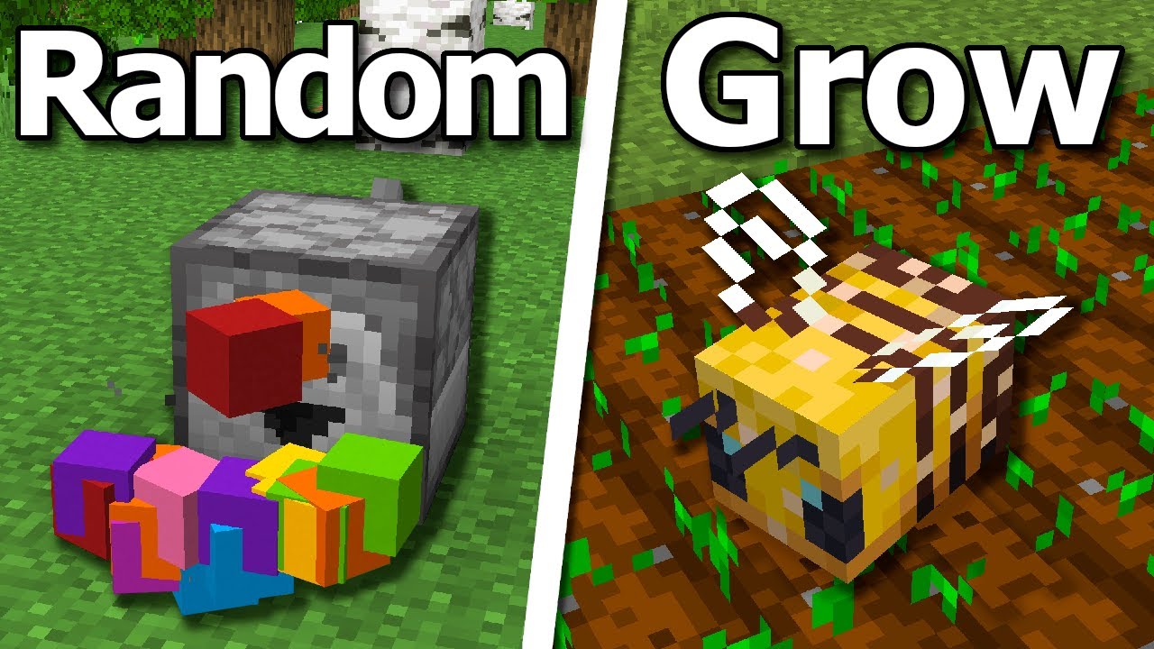 20 Things You Should Start Doing In Minecraft Minecraft Videos 20 Things You Should Start Doing In Minecraft Minecraft Videos