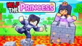 Help The ROYAL PRINCESS In Minecraft!