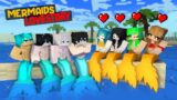 MERMAIDS CUTE LOVE STORY – CUTE AND HANDSOME MERMAIDS – MINECRAFT