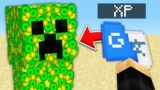 Minecraft, But You Can Translate Anything…