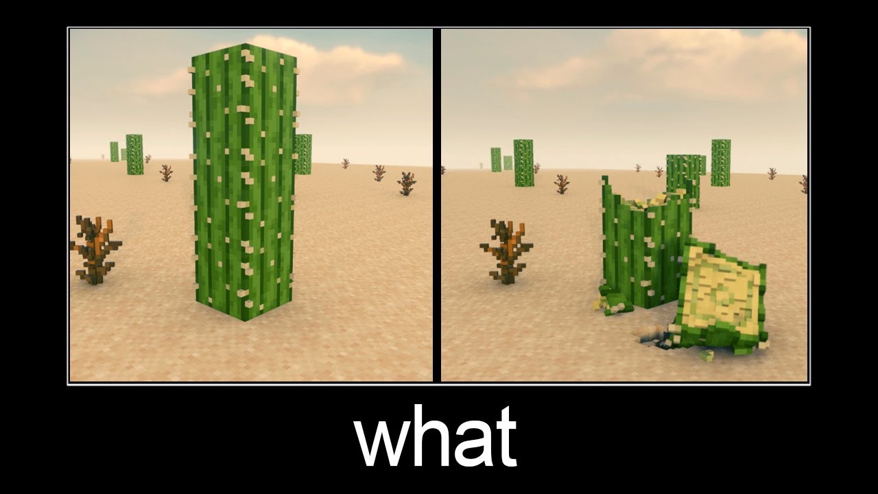 Minecraft wait what meme part 157 (realistic destruction of cactus ...