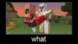 Minecraft wait what meme part 252 (Scary Villager and Iron Golem)