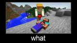 Minecraft wait what meme part 255 (Steve's heart)