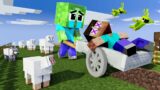 Monster School: Baby Zombie and Funny Farm – Sad Story – Minecraft Animation