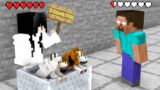 Monster School : Herobrine Found His Love – Minecraft Animation