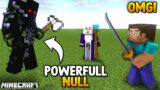 Null Became More STRONGER in Minecraft