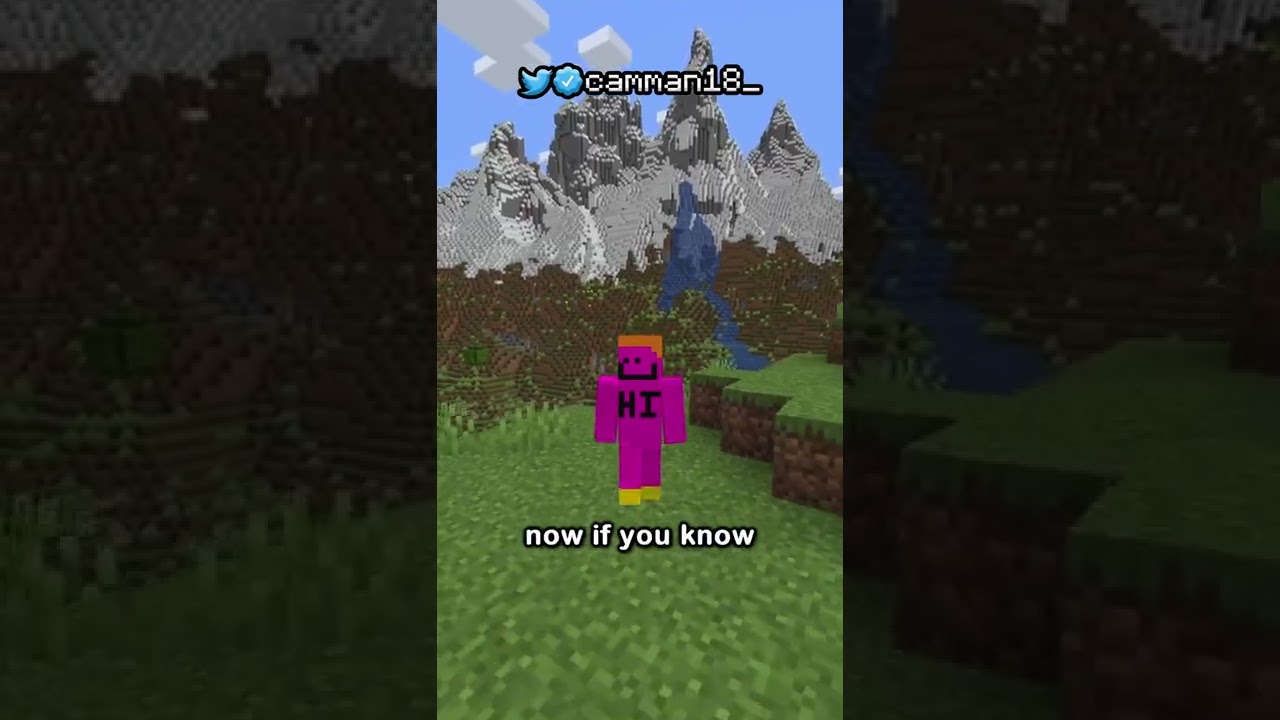 The New Rarest Item In Minecraft Minecraft Videos The New Rarest Item In Minecraft Minecraft Videos
