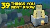 39 Things You Didn't Know About Survival Minecraft